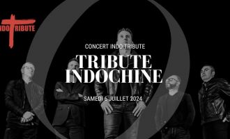 Concert Indo-Tribute 