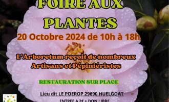 Foire aux plantes 